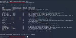 Telnet Exploit Sample Brute Force Attack in Metasploit - GeeksforGeeks