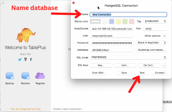 Create database and test 