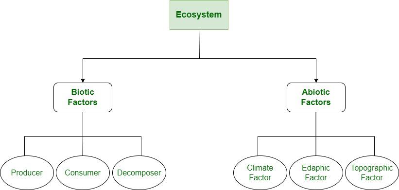 Ecosystem/Organism Research Project Organizer