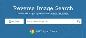 How to Do a Reverse Image Search From Your Phone or Desktop - GeeksforGeeks