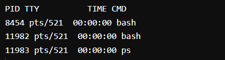 output of ps command in linux