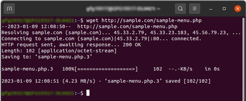 output of wget command in linux