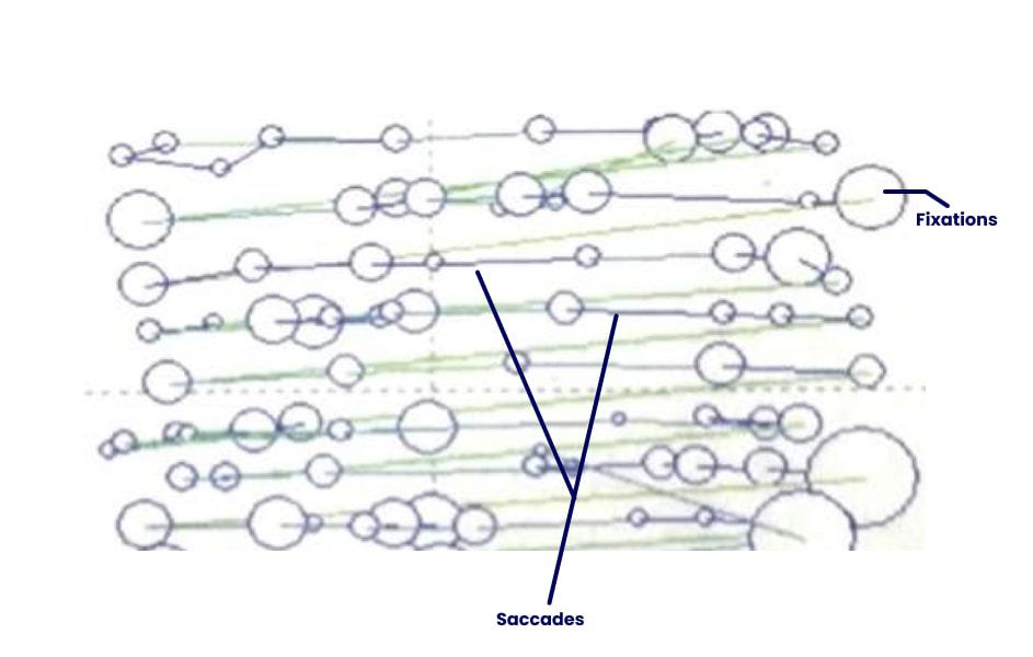 Fixation Maps