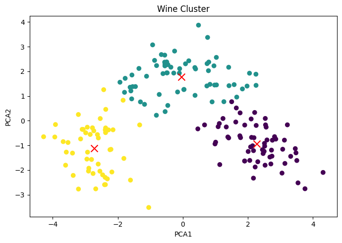 Wine Cluster