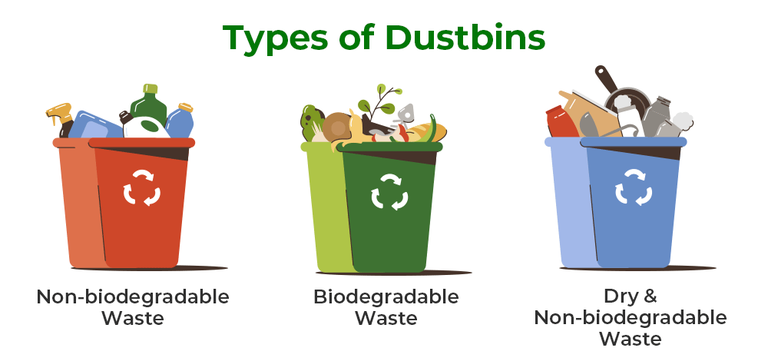 Significance Of Green Red And Blue Dustbins GeeksforGeeks