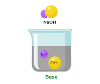 Acids, Bases and Salts - GeeksforGeeks