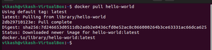 Docker Installation in Linux With its Required Packages Using GPG Key ...