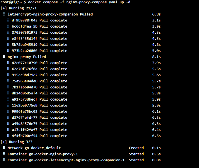 run the nginx-proxy and set up it