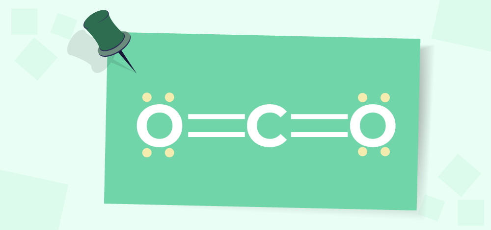 Double Bonds