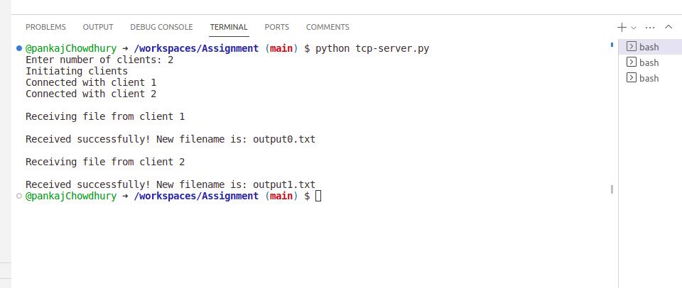 Python deals tcp socket