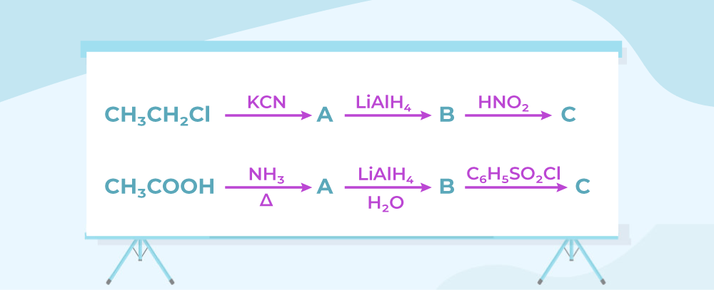 Question 7