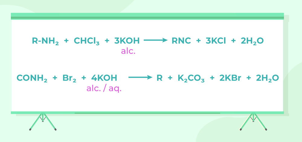 Answer 7(3)