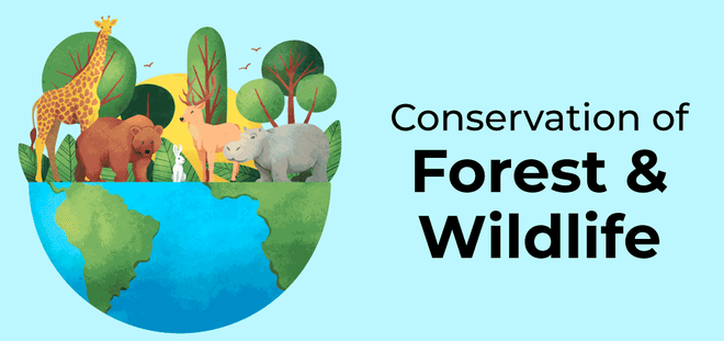 Describe How Communities Have Conserved And Protected Forests And 