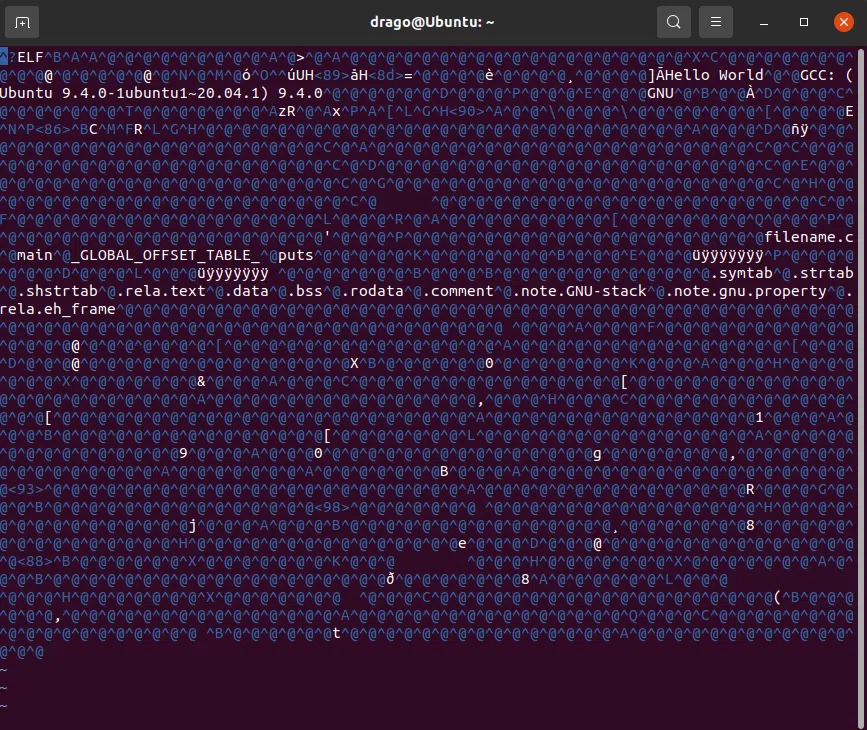 generated binary code in c compilation