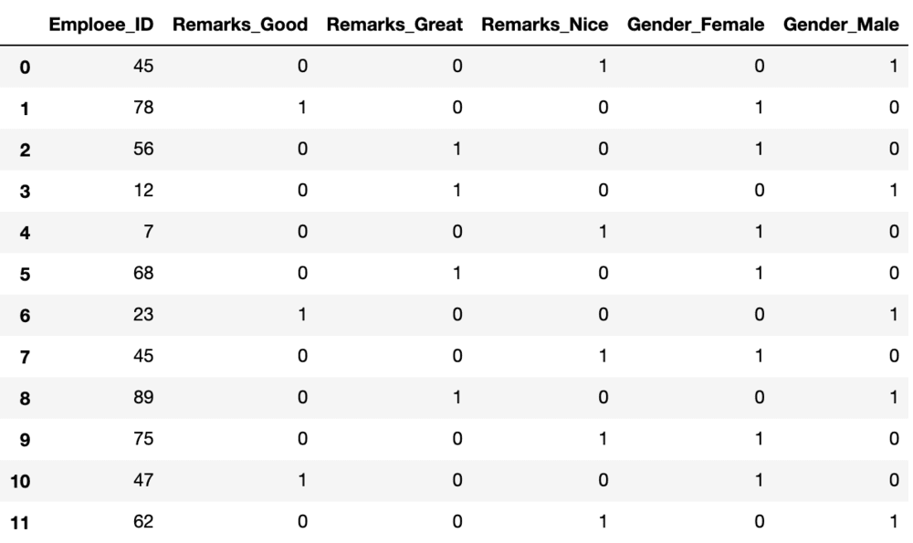 One-Hot encoded columns of the dataset 