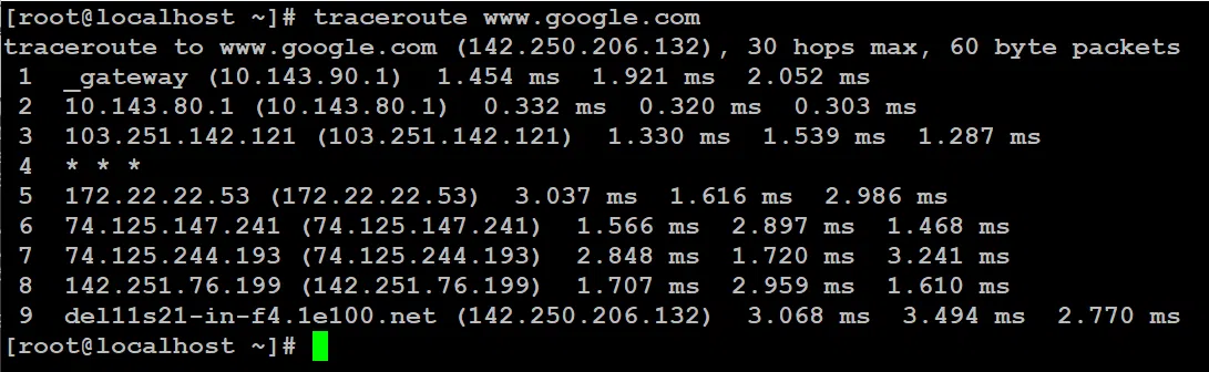traceroute-google
