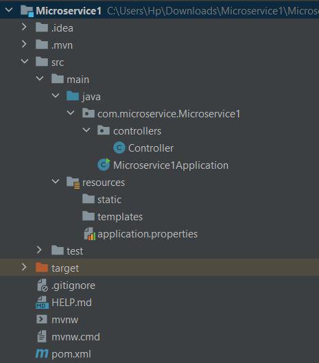 Project structure of Microservice 1