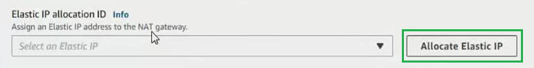 Allocate Elastic IP