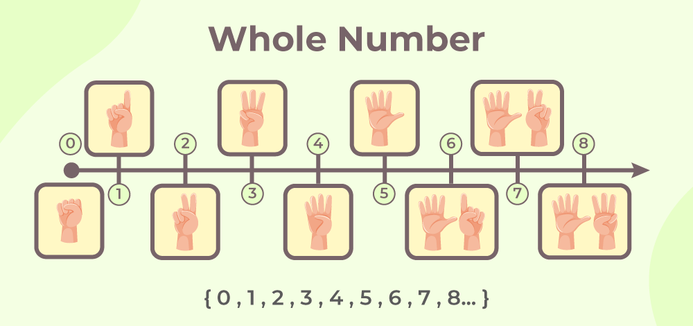 Whole Numbers