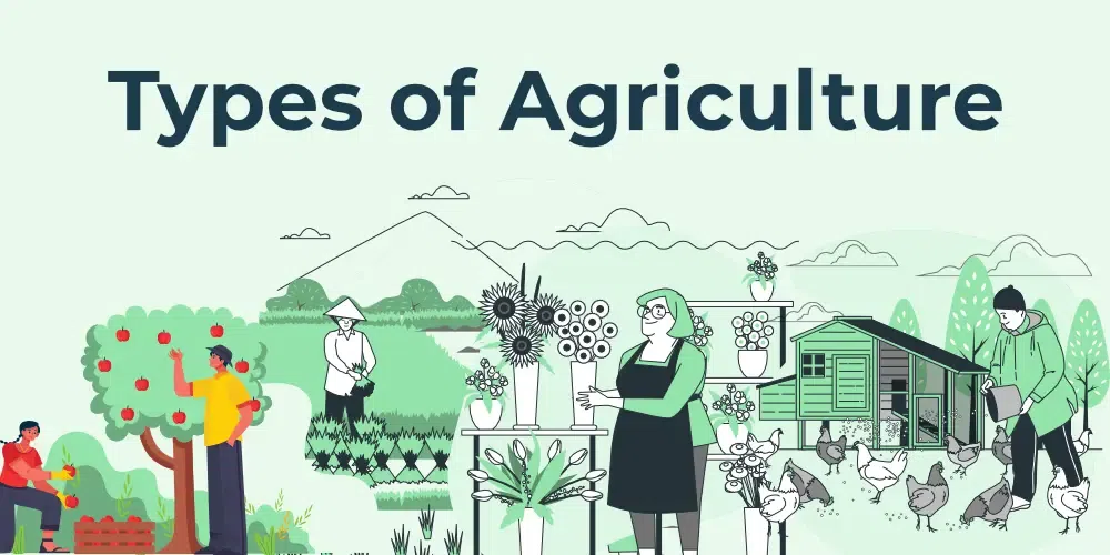 Types Of Agriculture In India - GeeksforGeeks