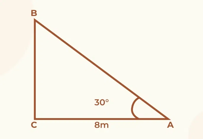 Practice Questions for Some Application of Trigonometry