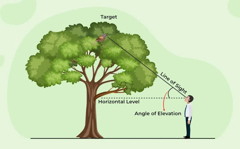 Angle of Elevation