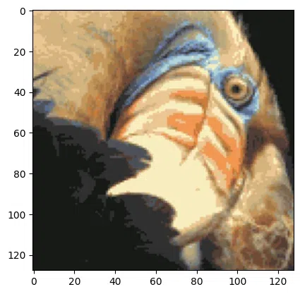 Compressed image for the Birds eye using python 