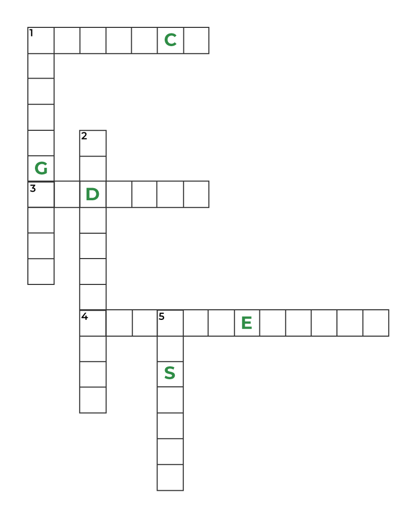 Q-11 Puzzle