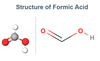 Formic Acid (HCOOH) - GeeksforGeeks