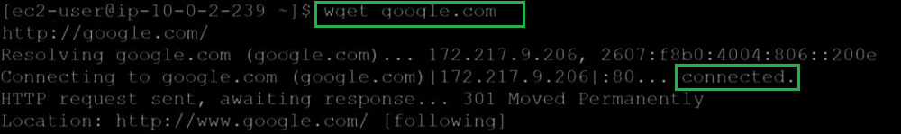 Acessing internet  from private server 