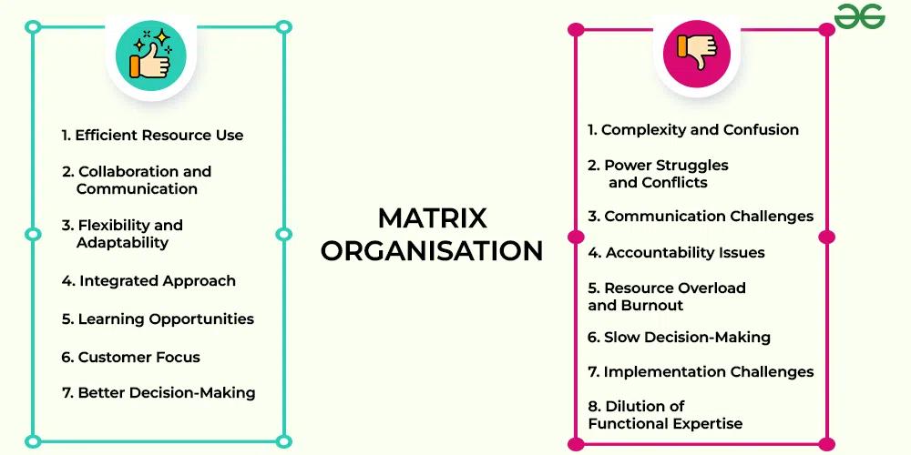 Bureaucratic Vs Matrix Organizational Structures HARO