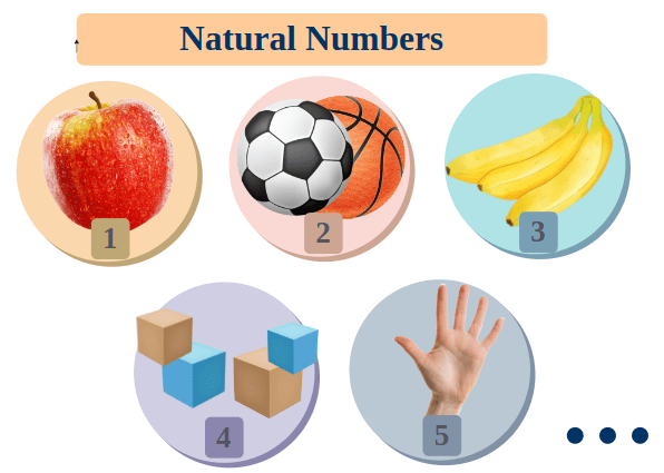 Natural Numbers from 1 to 100 Sum of natural numbers from 1 to 100