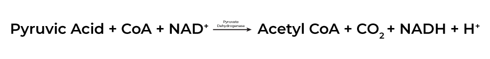 Oxidative decarboxylation