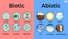 What are the Biotic and Abiotic resources? - GeeksforGeeks