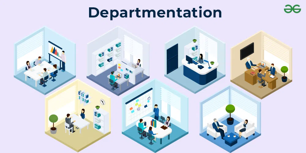 Departmentation