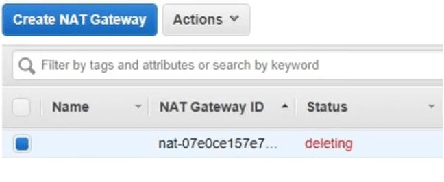 Deleting NAT gateway 