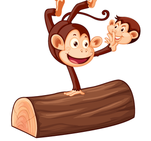 Monkey
