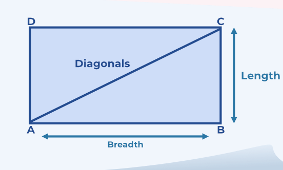 for a Rectangle Shape, Rectangle