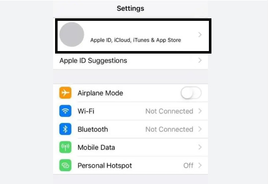 Iphone-Settings-Window