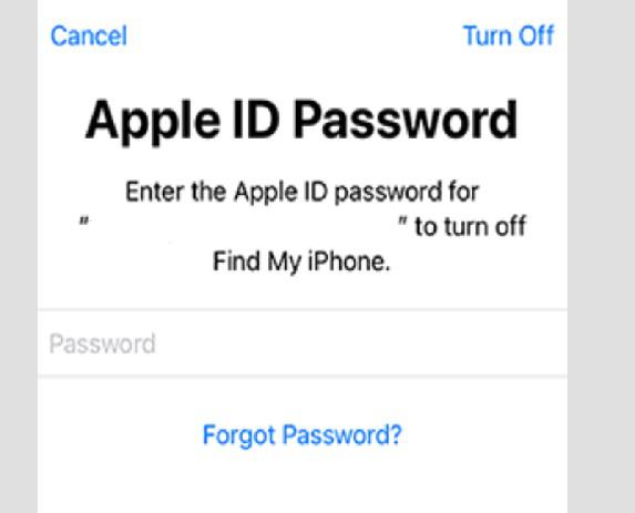 Enter-Apple-ID-Password