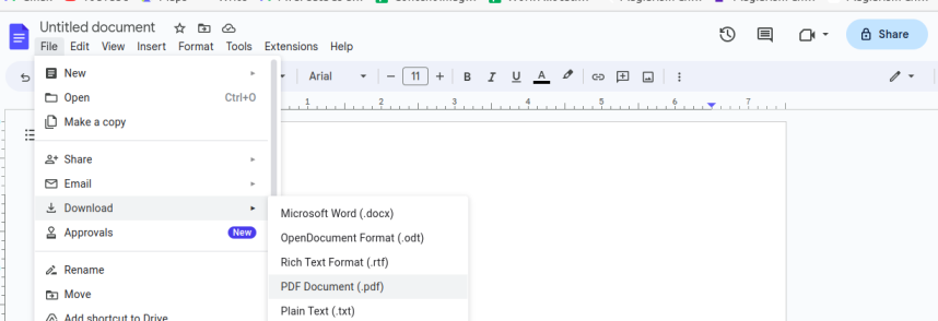 PDF Document Option