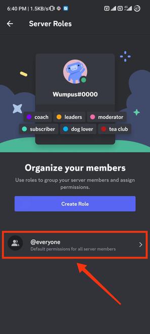 How to Organize Your Discord Server EASY! 