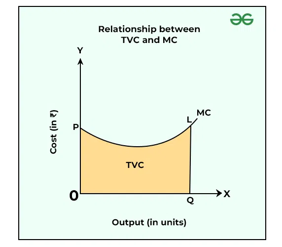 Relationship between TVC and MC