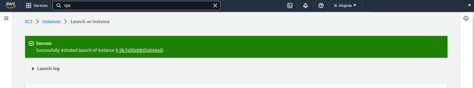 Launch Instance Success