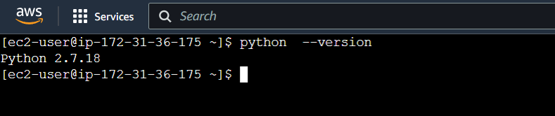 Check Python version