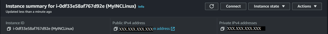 see public IPv4 of Instances