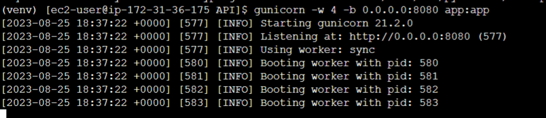 run again gunicorn command to navigate