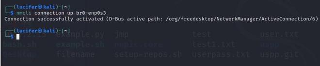 How to Set up a Network Bridge for Virtual Machine in Linux - GeeksforGeeks