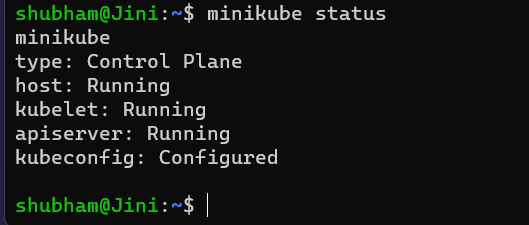 minikube status 
