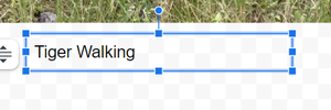 How to Add Captions to Images in Google Docs - GeeksforGeeks